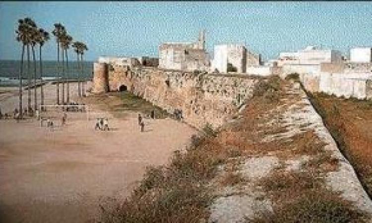 Muraille sud de la cité