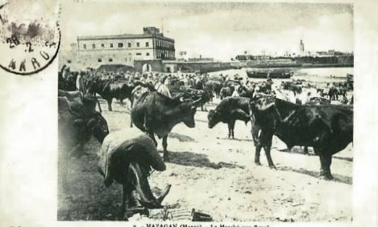 l'ancien marché des boeufs sur la plage de Mazagan