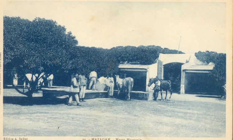le Haras de Mazagan