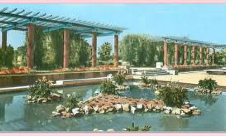 les bassins et pergomas du parc Med V